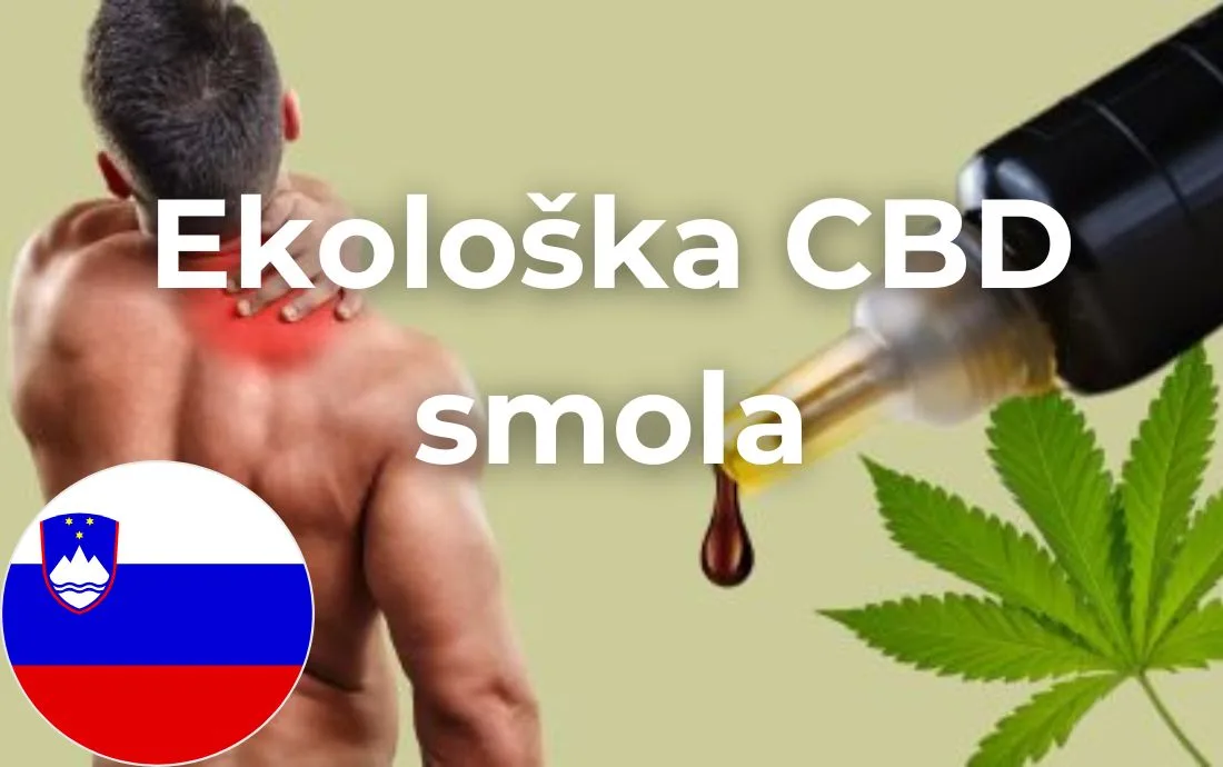 Ekološka CBD smola Agrosloven